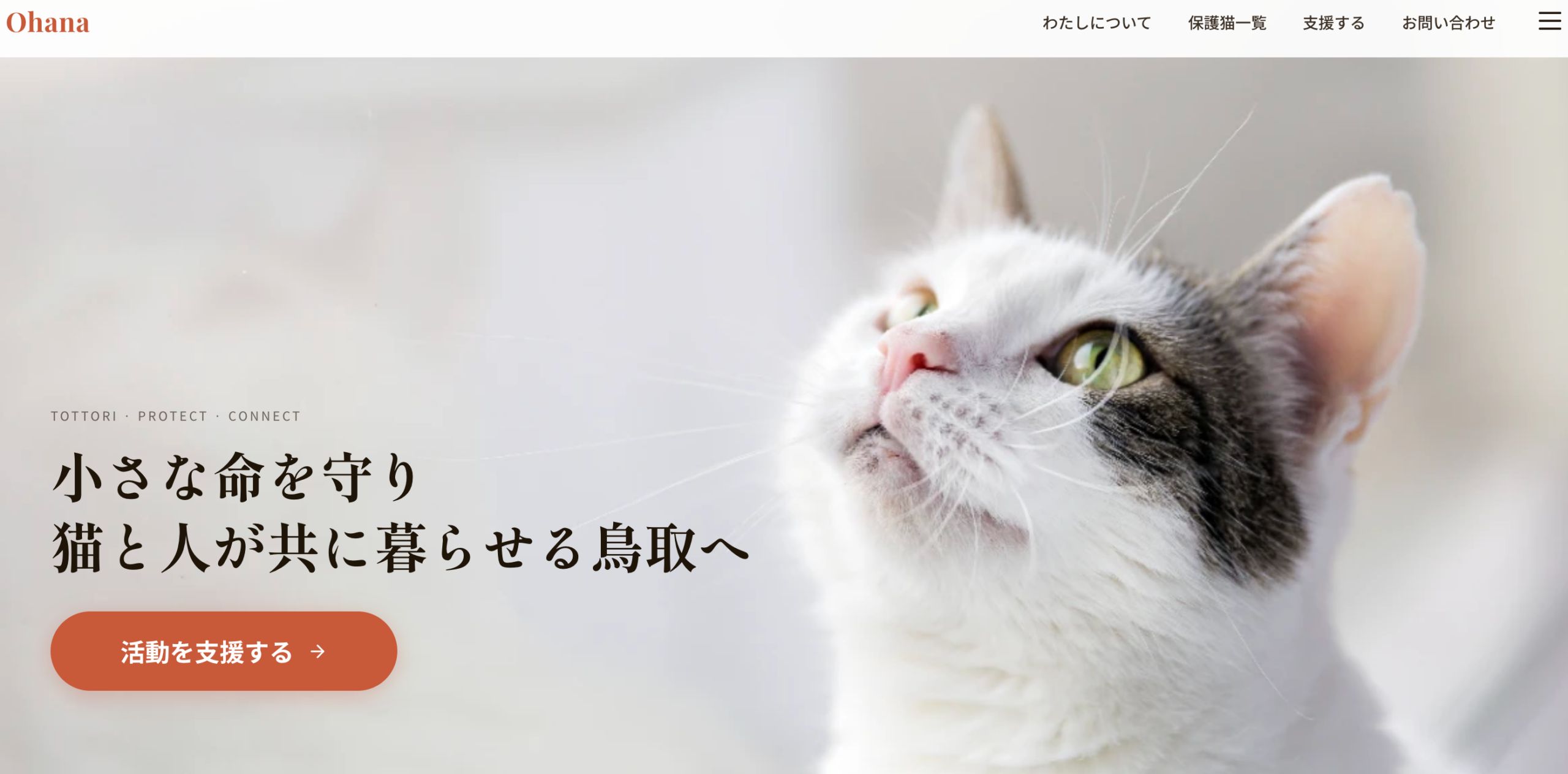 ohana-hogoneko.jp — 完成サイト